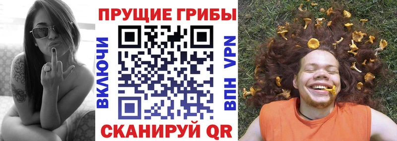 Купить где  Чкаловск  Псилоцибиновые грибы Psilocybe 